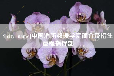 天长中国消防救援学院简介及招生章程指挥部