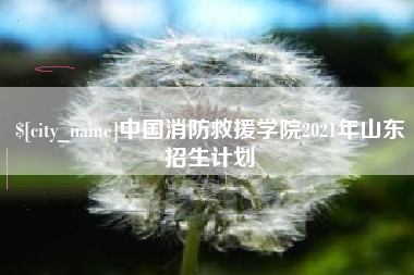 天长中国消防救援学院2021年山东招生计划