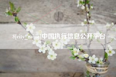 天长中国执行信息公开平台