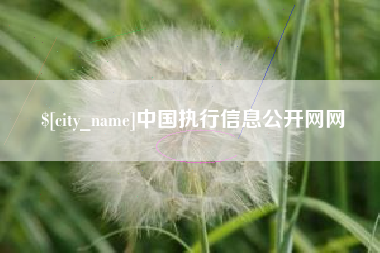 天长中国执行信息公开网网
