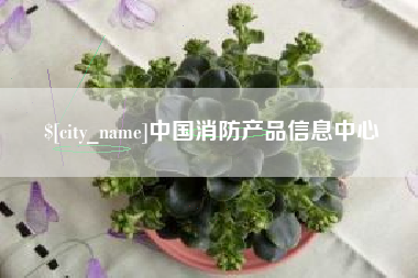 天长中国消防产品信息中心