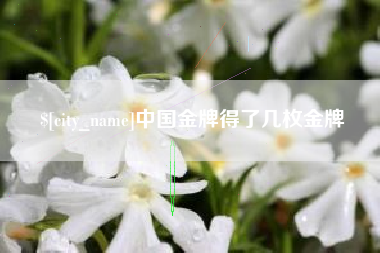 天长中国金牌得了几枚金牌