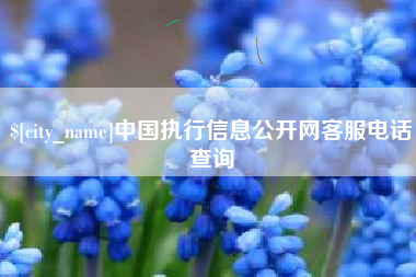 天长中国执行信息公开网客服电话查询 天长中国执行信息公开网客服电话查询