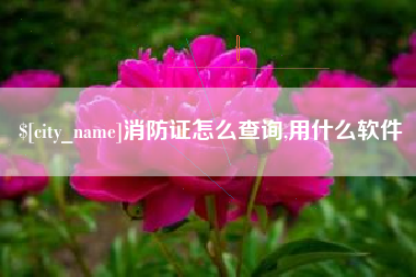 天长消防证怎么查询,用什么软件