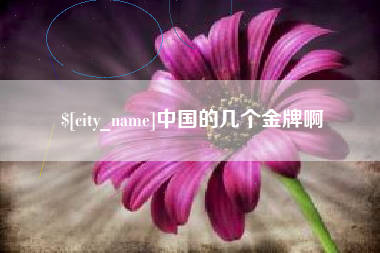 天长中国的几个金牌啊