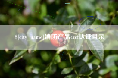 天长消防产品cccf认证目录