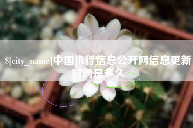 天长中国执行信息公开网信息更新时间是多久
