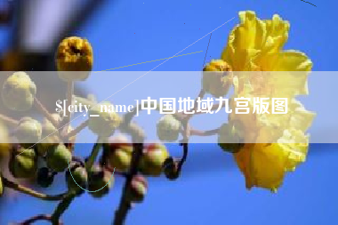 天长中国地域九宫版图