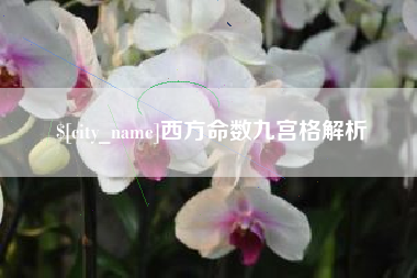 天长西方命数九宫格解析