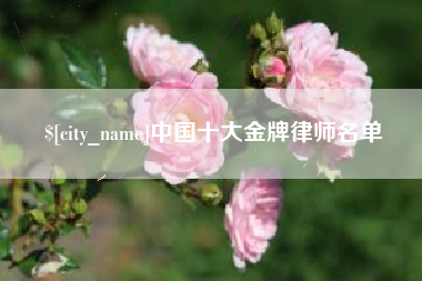 天长中国十大金牌律师名单