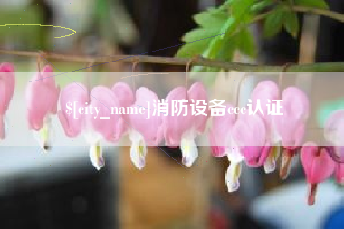 天长消防设备ccc认证
