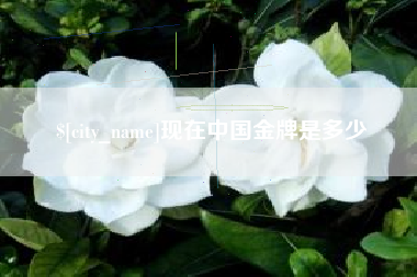 天长现在中国金牌是多少