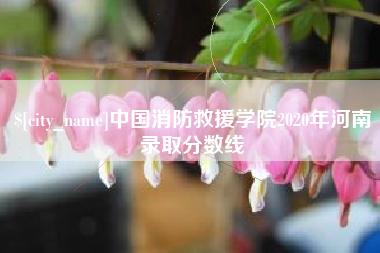 天长中国消防救援学院2020年河南录取分数线