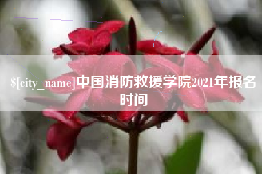 天长中国消防救援学院2021年报名时间