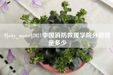 天长2021中国消防救援学院分数线是多少