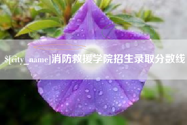 天长消防救援学院招生录取分数线