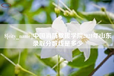 天长中国消防救援学院2021年山东录取分数线是多少
