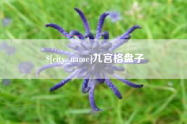 天长九宫格盘子