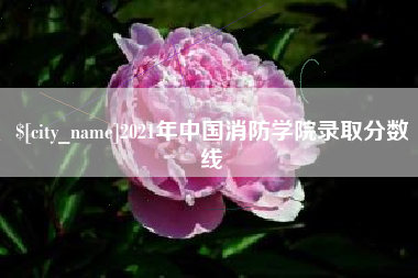 天长2021年中国消防学院录取分数线