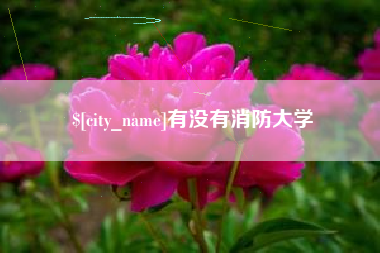 天长有没有消防大学