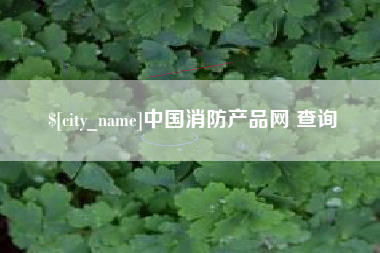 天长中国消防产品网 查询