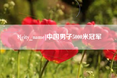 天长中国男子5000米冠军