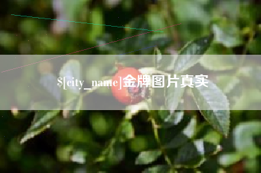 天长金牌图片真实