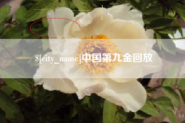 天长中国第九金回放