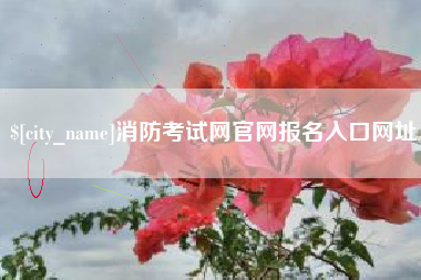 天长消防考试网官网报名入口网址