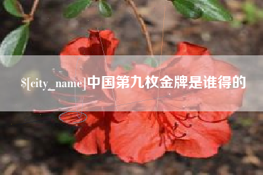 天长中国第九枚金牌是谁得的