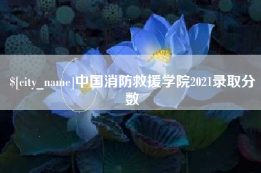天长中国消防救援学院2021录取分数