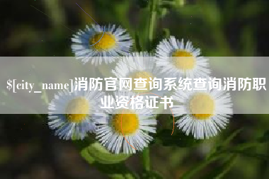 天长消防官网查询系统查询消防职业资格证书