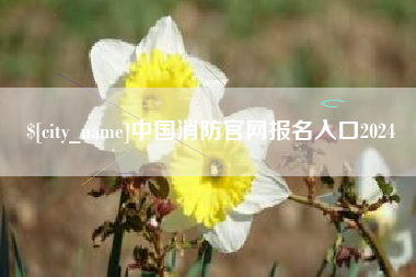 天长中国消防官网报名入口2024