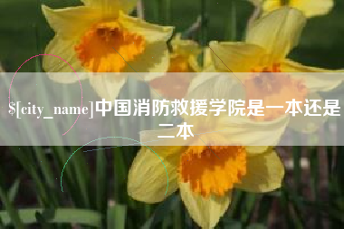 天长中国消防救援学院是一本还是二本