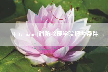 天长消防救援学院报考条件