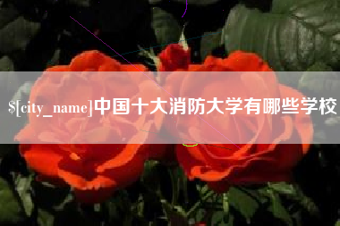 天长中国十大消防大学有哪些学校