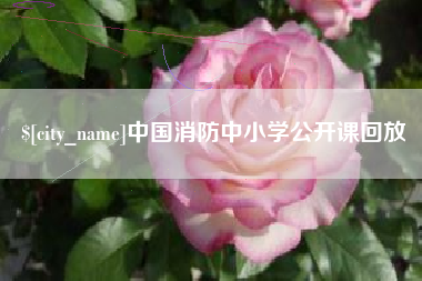 天长中国消防中小学公开课回放