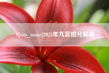 天长2021年九宫格分解图
