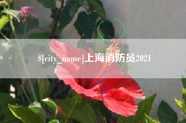 天长上海消防员2021