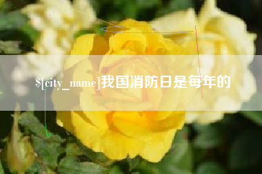 天长我国消防日是每年的