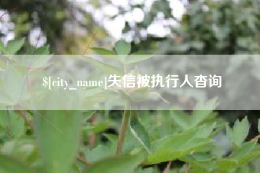 天长失信被执行人杳询