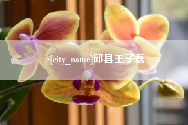 天长邱县王子磊