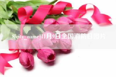 天长11月9日全国消防日图片