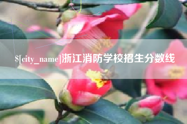 天长浙江消防学校招生分数线