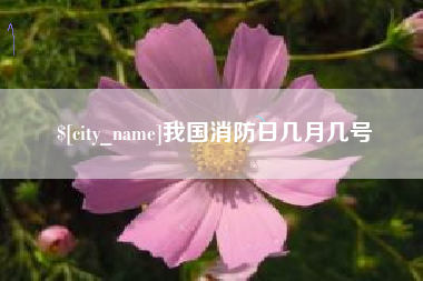 天长我国消防日几月几号