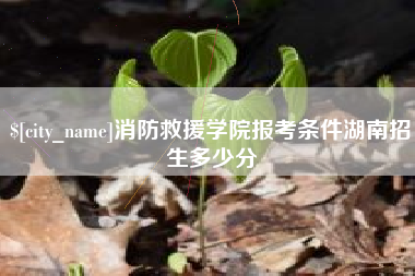 天长消防救援学院报考条件湖南招生多少分
