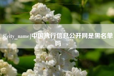 天长中国执行信息公开网是黑名单吗