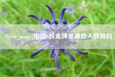 天长中国6枚金牌是哪些人获得的