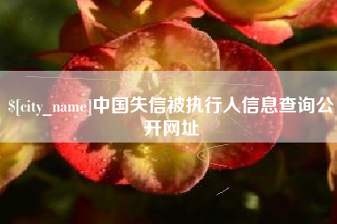 天长中国失信被执行人信息查询公开网址