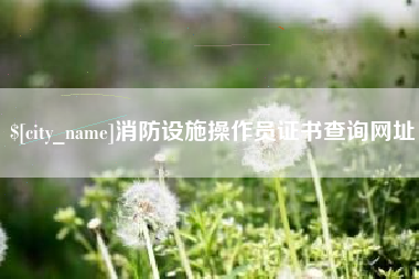 天长消防设施操作员证书查询网址